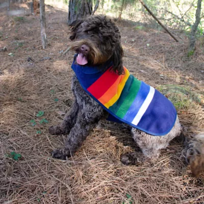 Product Pendleton National Park Crater Lake Pet Coat