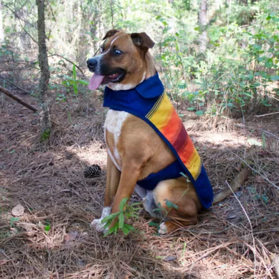 Product Pendleton National Park Grand Canyon Pet Coat