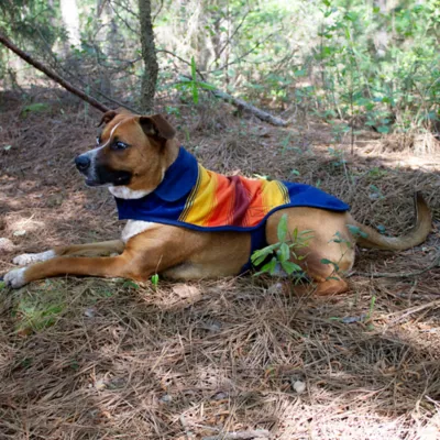 Product Pendleton National Park Grand Canyon Pet Coat
