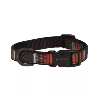 Product Pendleton National Park Acadia Dog Collar