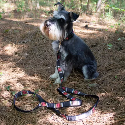 Product Pendleton National Park Acadia Dog Collar