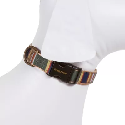 Product Pendleton National Park Badlands Dog Collar