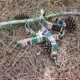Product Pendleton National Park Badlands Dog Collar