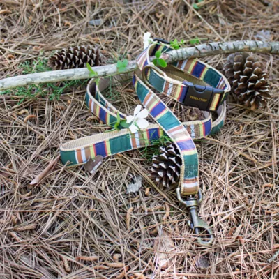 Product Pendleton National Park Badlands Dog Collar