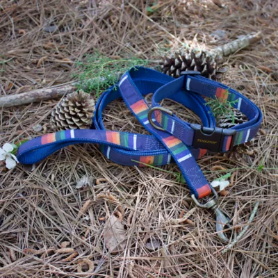 Product Pendleton National Park Crater Lake Hiker Dog Collar