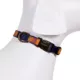 Product Pendleton National Park Grand Canyon Hiker Dog Collar