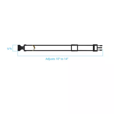 Product Pendleton National Park Mount Rainier Dog Collar