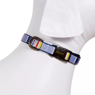 Product Pendleton National Park Yosemite Hiker Dog Collar