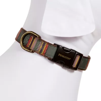Product Pendleton Yakima Hiker Dog Collar