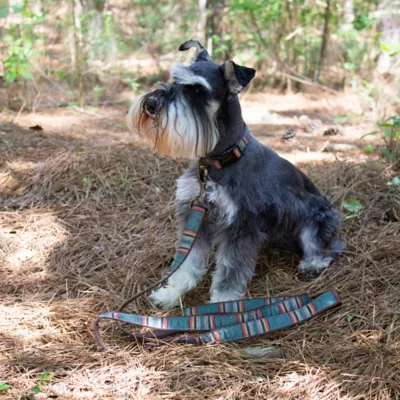 Product Pendleton Yakima Hiker Dog Collar