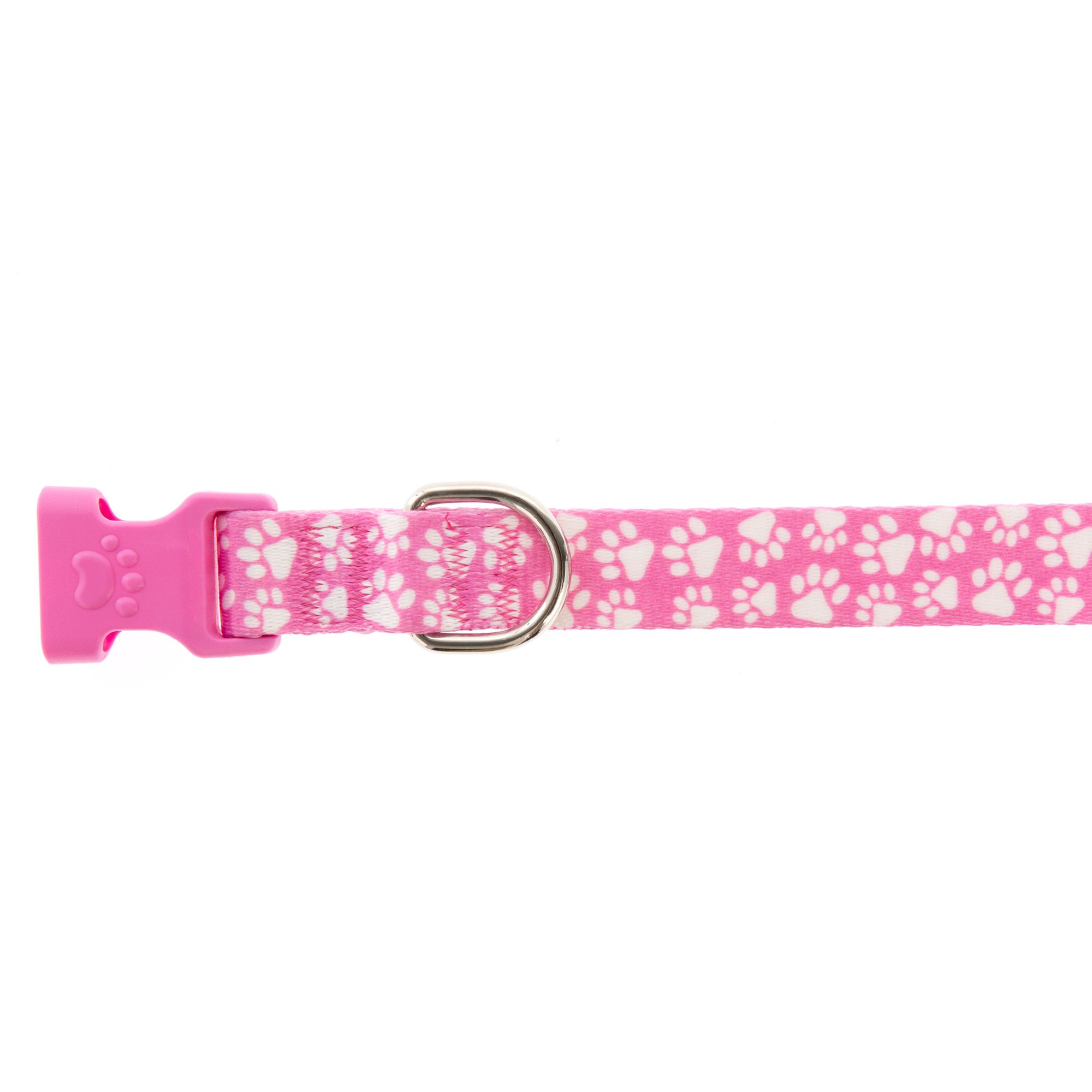 petsmart small dog collars