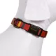 Product Pendleton National Park Mount Rainier Dog Collar