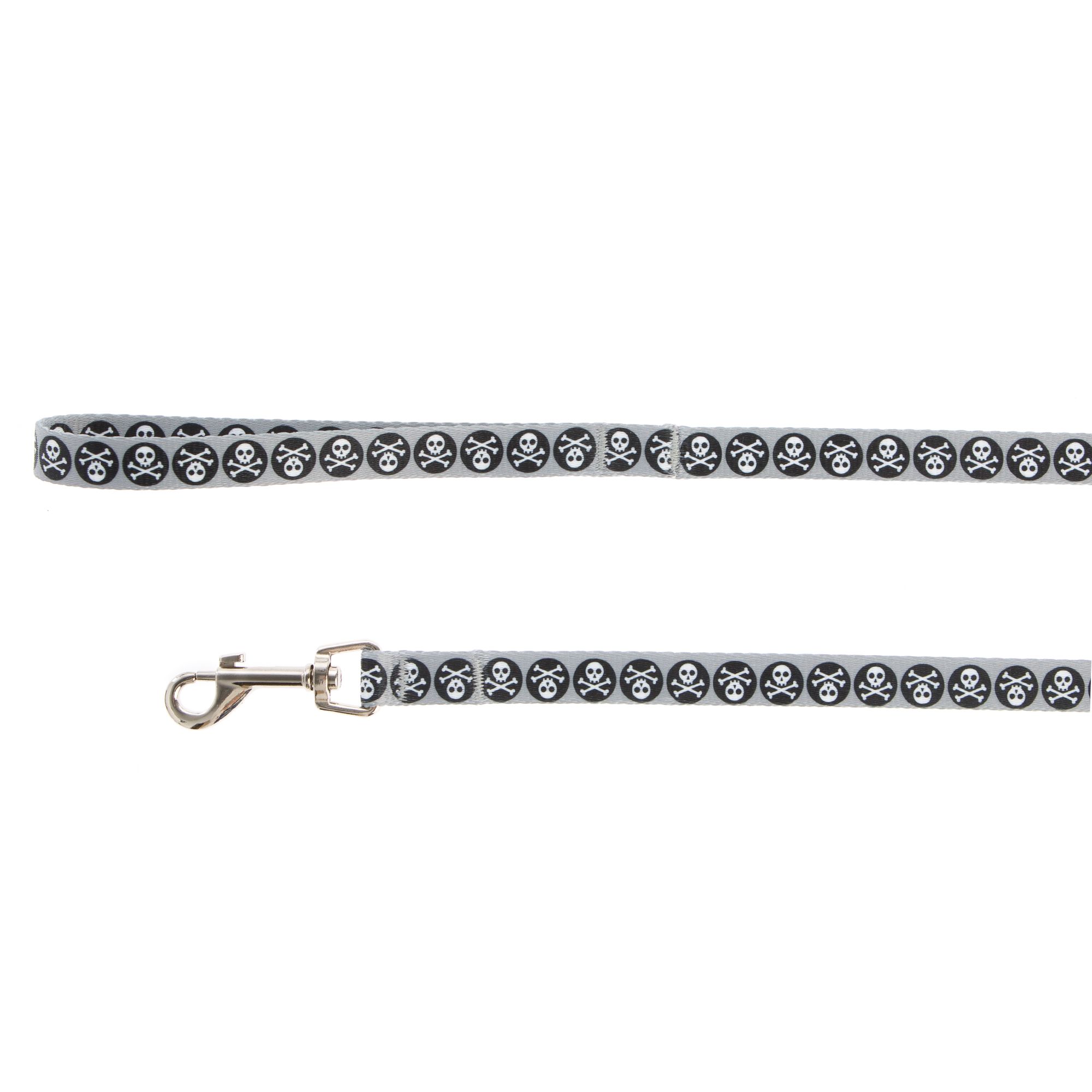 petsmart chain leash