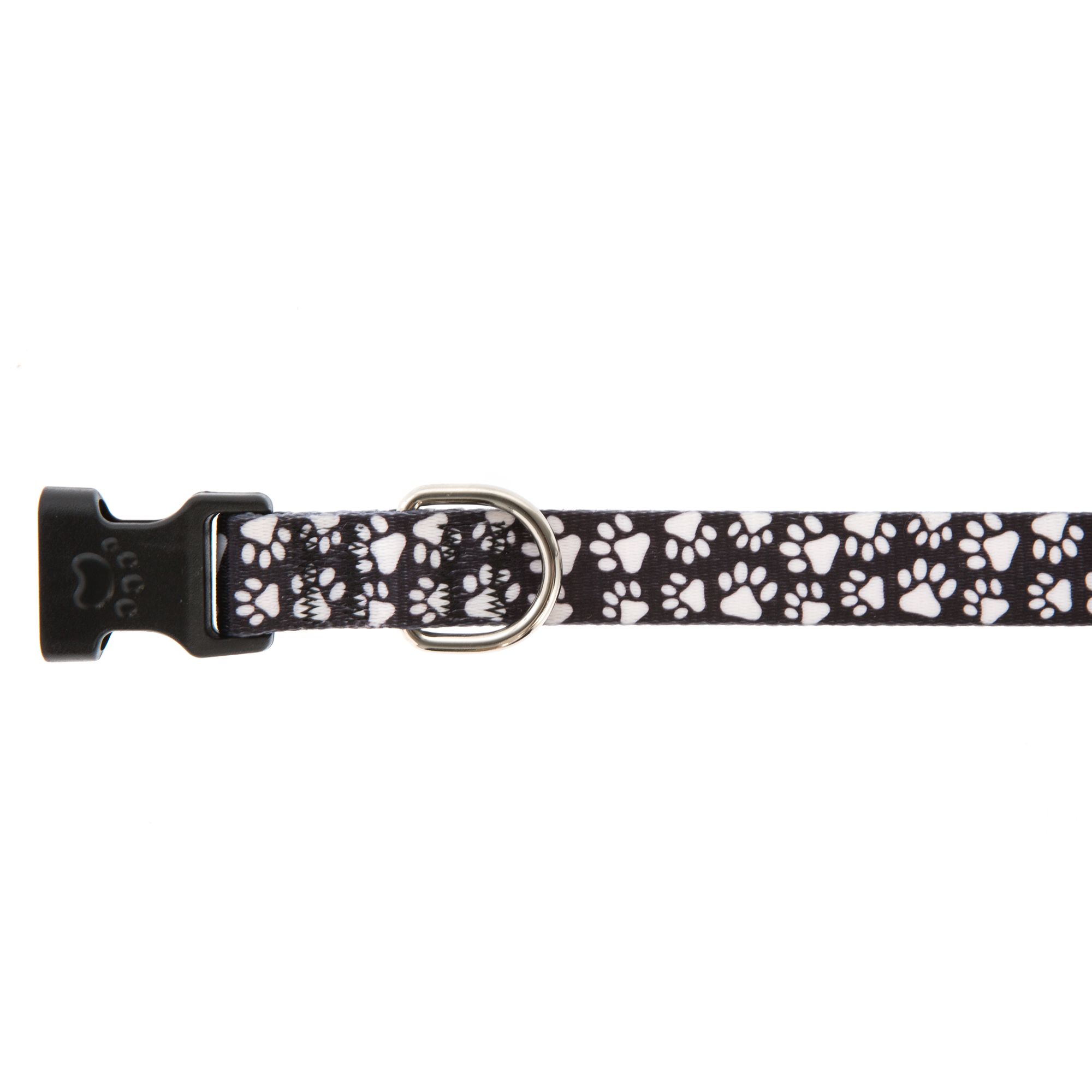 top dog collars and leashes