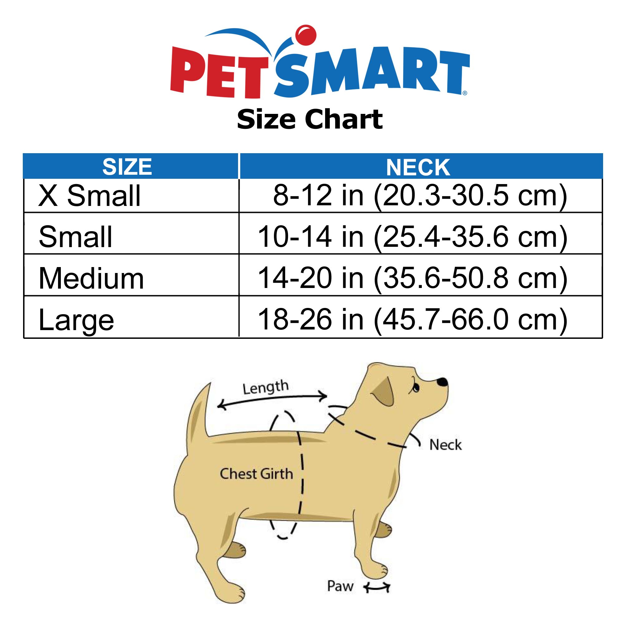 medium dog collar size in cm
