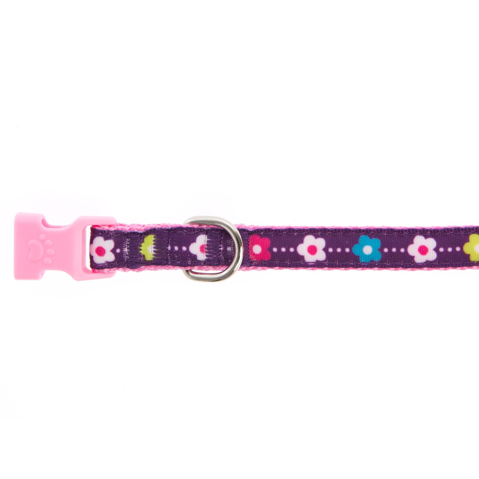 petsmart small dog collars