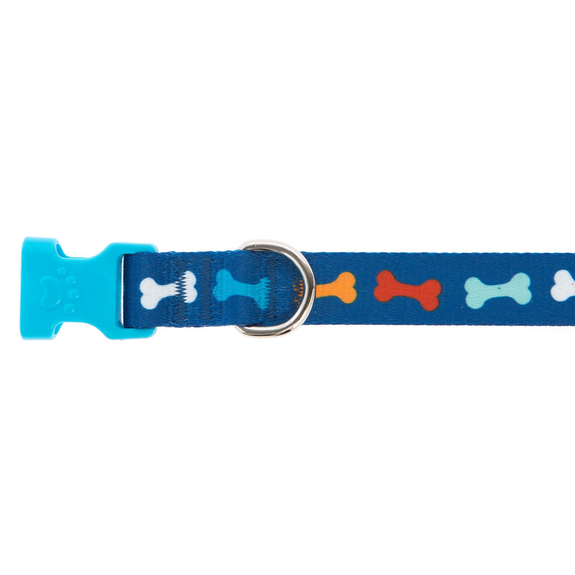 dog chain collar petsmart