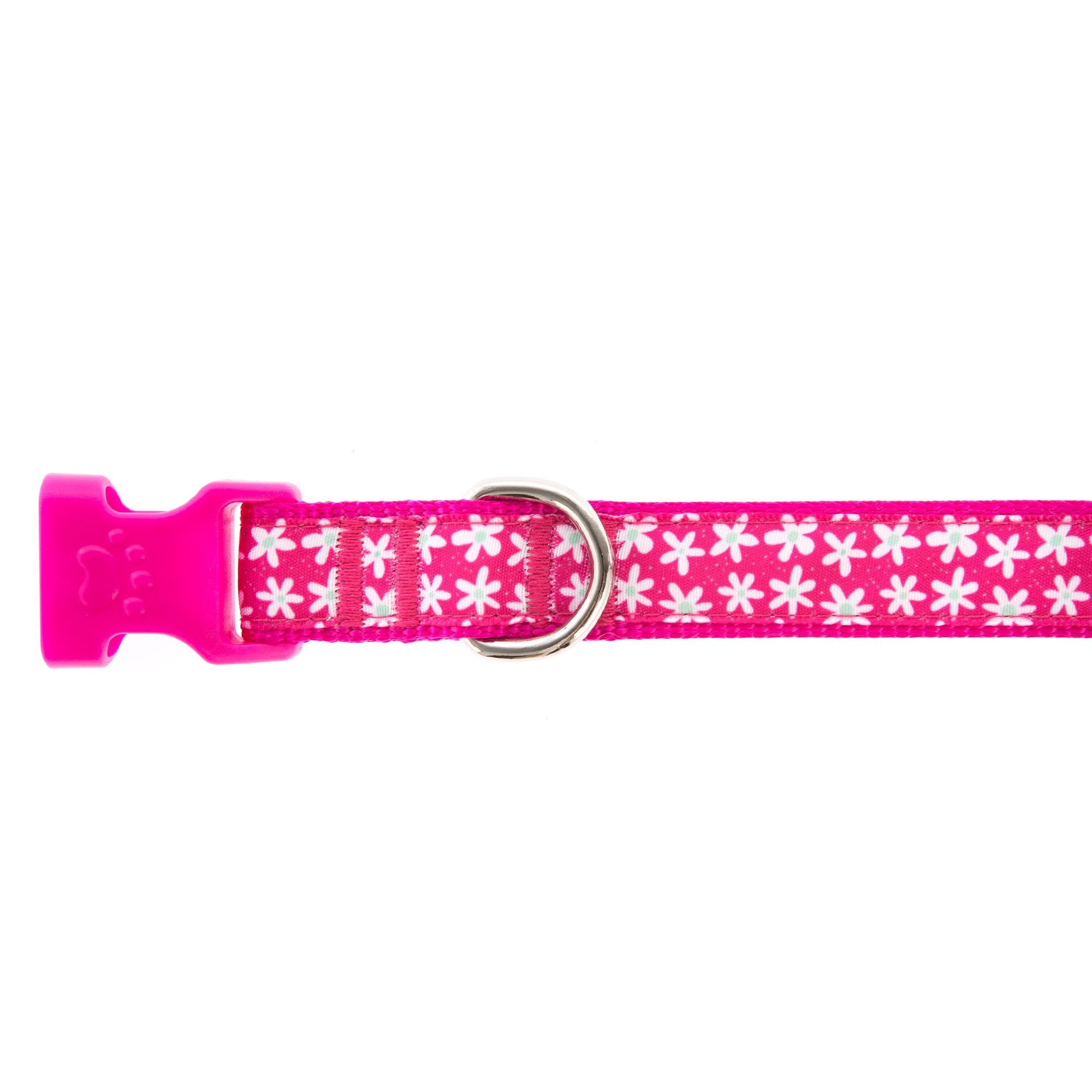 petsmart small dog collars