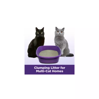 Arm Hammer Clump Seal Slide Clumping Multi Cat Clay Cat Litter Low Dust