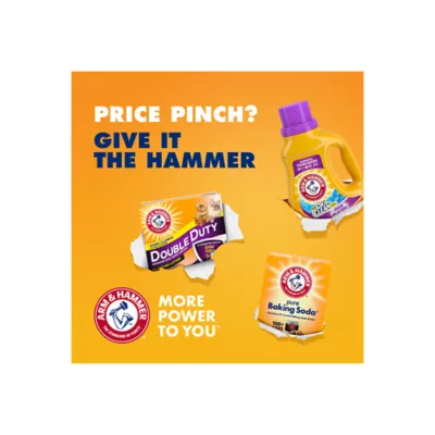 Product Arm & Hammer™ Clump & Seal Slide Clumping Multi-Cat Clay Cat Litter - Low Dust