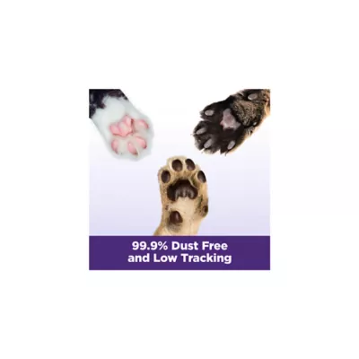 Product Arm & Hammer™ Clump & Seal Slide Clumping Multi-Cat Clay Cat Litter - Low Dust