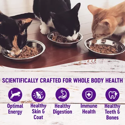 Product Wellness® Complete Health Adult Cat Wet Food - Grain Free, Gravies, 5.5 Oz