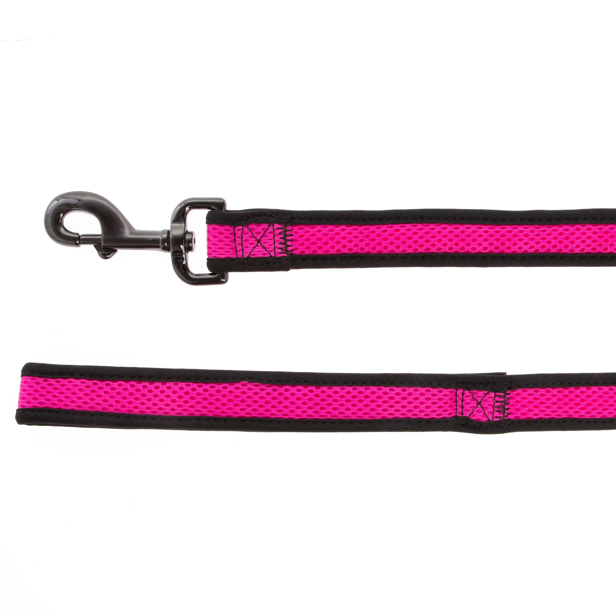Top Paw® Mesh Dog Leash dog Leashes PetSmart