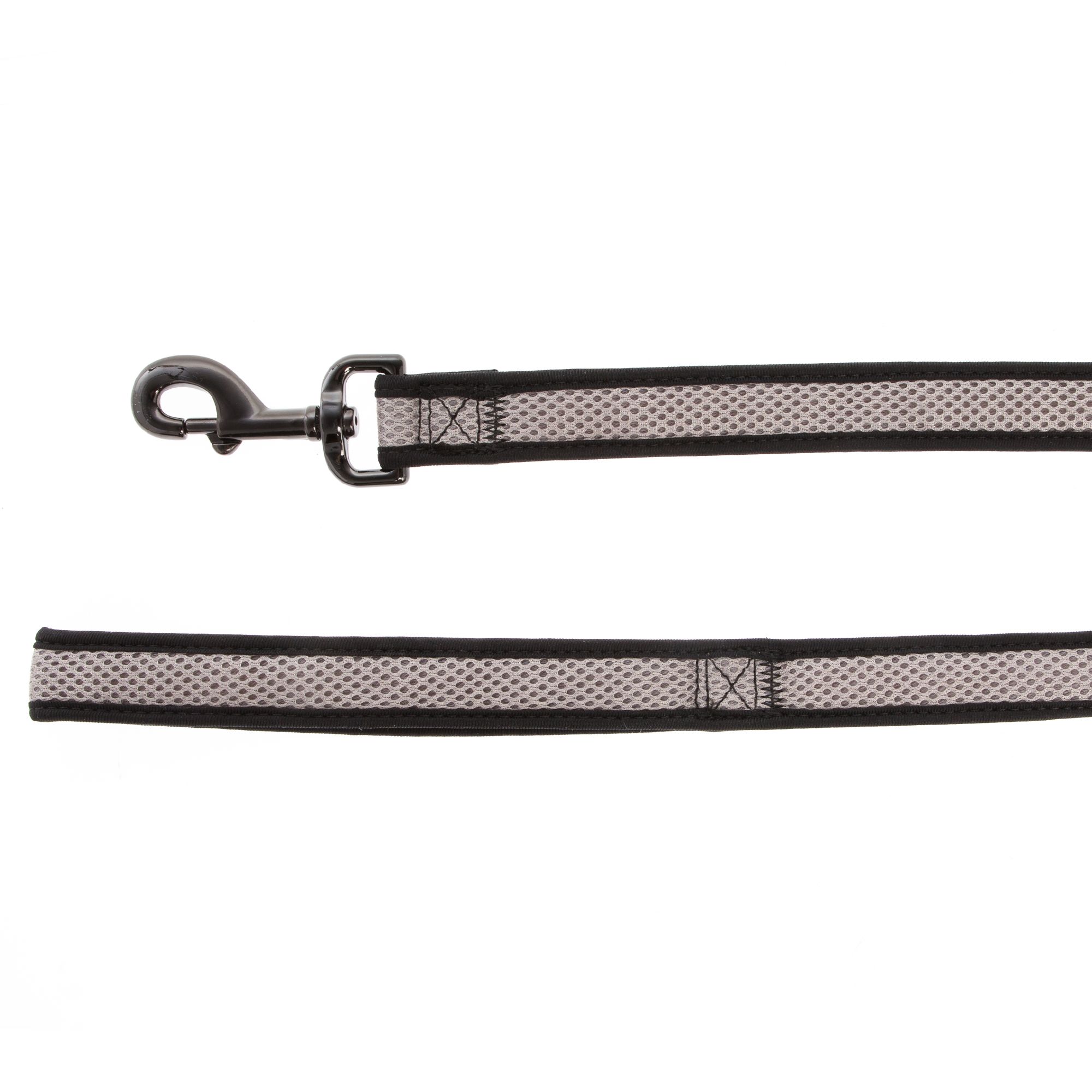 Top Paw® Mesh Dog Leash dog Leashes PetSmart