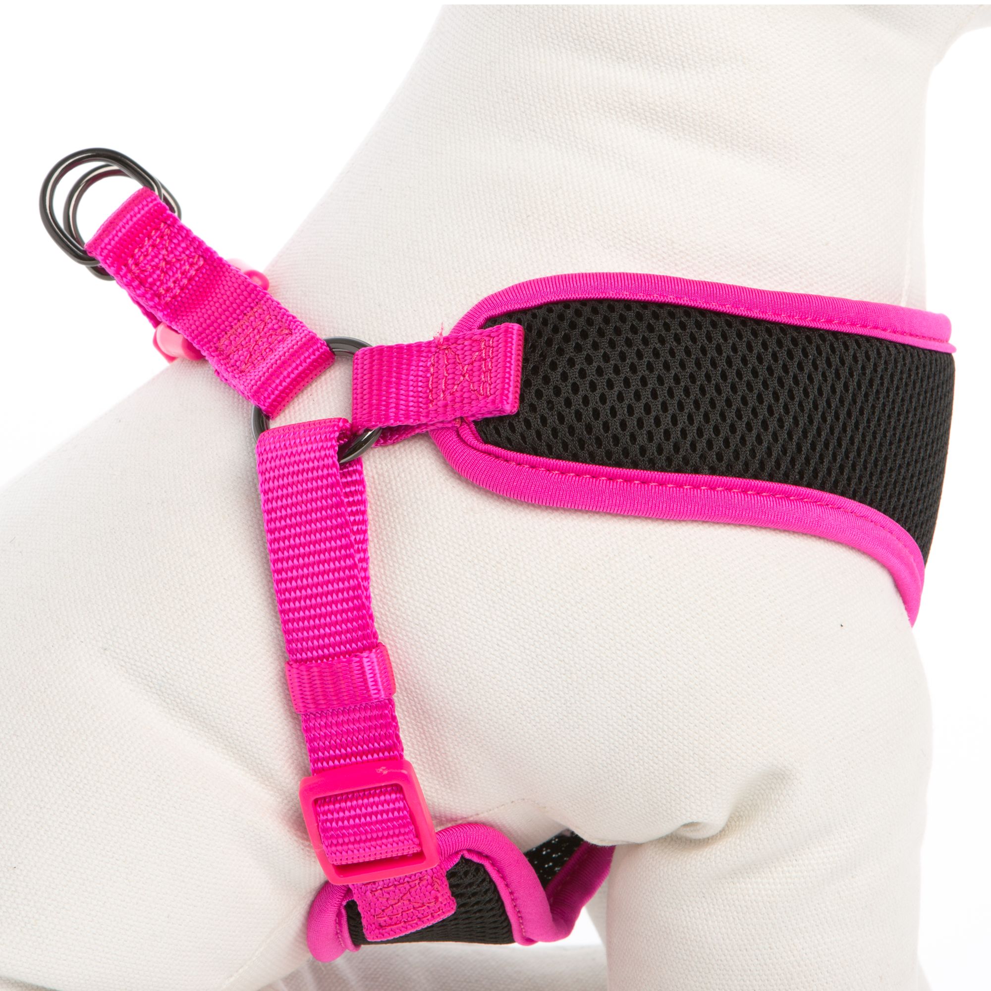 pink dog harness and leash