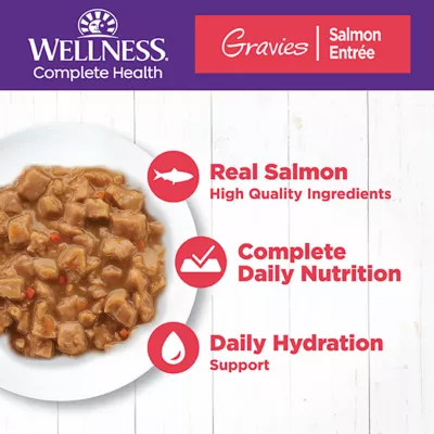 Product Wellness® Complete Health Adult Cat Wet Food - Grain Free, Gravies, 5.5 Oz