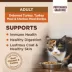 Wellness® CORE® Adult Cat Food - Natural, Grain Free, Original Formula image thumbnail 3