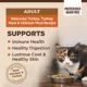 Product Wellness® CORE® Adult Cat Food - Natural, Grain Free, Original Formula