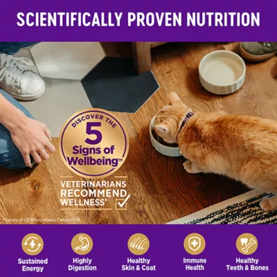 Product Wellness® Complete Health Indoor Cat Food - Natural, Grain Free, Salmon & Herring Meal