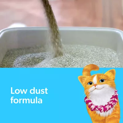 Product Fresh Step® Extreme with Febreze™ Clay Cat Litter - Hawaiian Aloha Scented, Low Dust