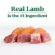 Product Nutro Limited Ingredient Diet Adult Dry Dog Food - Grain Free, Lamb & Sweet Potato