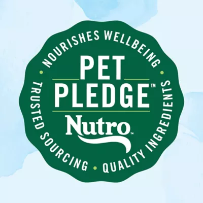 Product Nutro Limited Ingredient Diet Adult Dry Dog Food - Grain Free, Lamb & Sweet Potato
