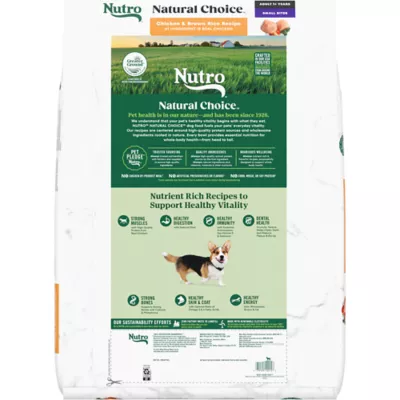 Nutro natural choice chicken mini hotsell