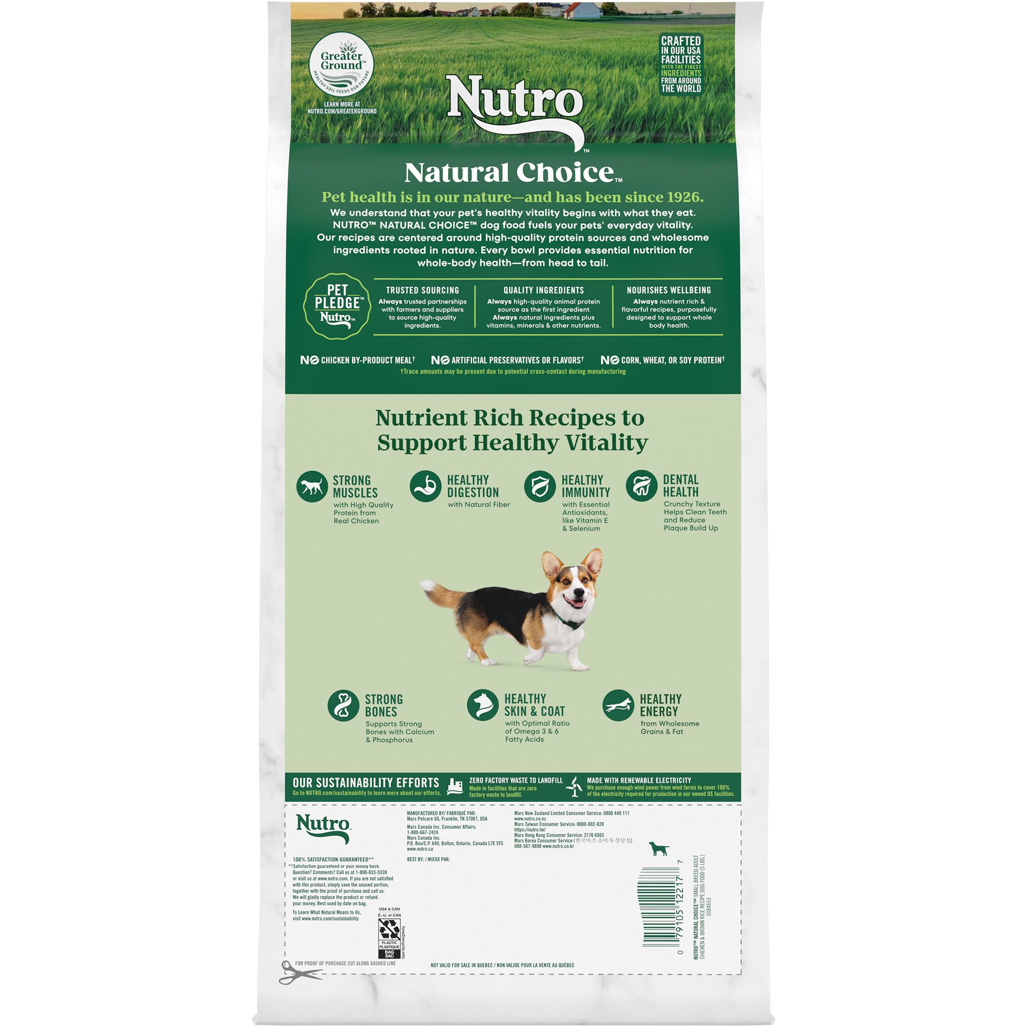 Petsmart nutro best sale senior dog food