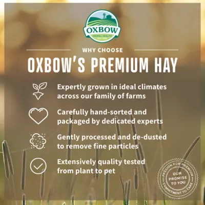 Product Oxbow Western Timothy Hay
