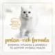 Product Fancy Feast® Delights with Cheddar Wet Cat Food Variety Pack