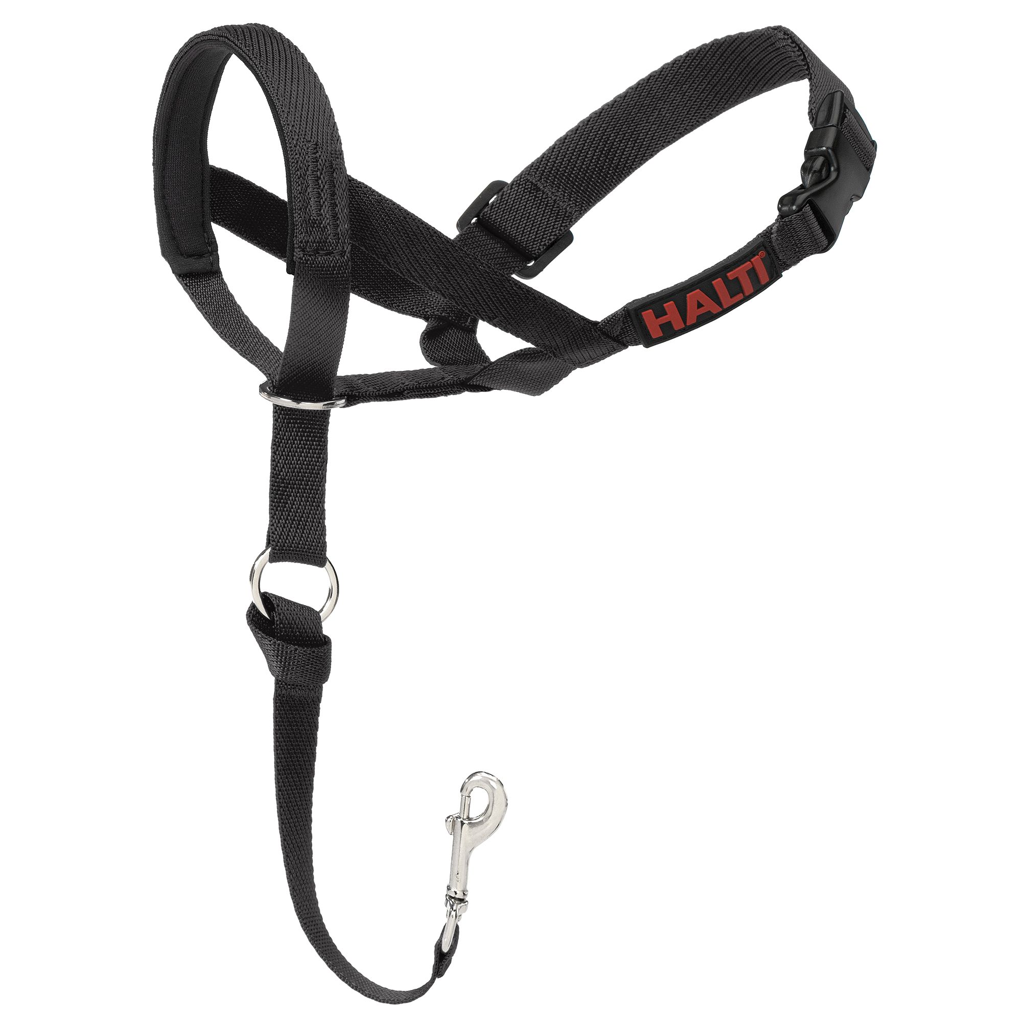 Halti® Training Dog Head Collar | dog 