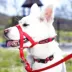 Halti® Training Dog Head Collar image thumbnail 2