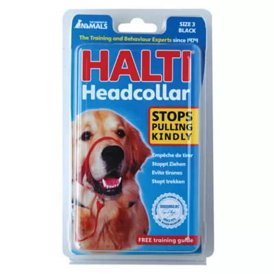 Product Halti® Training Dog Head Collar