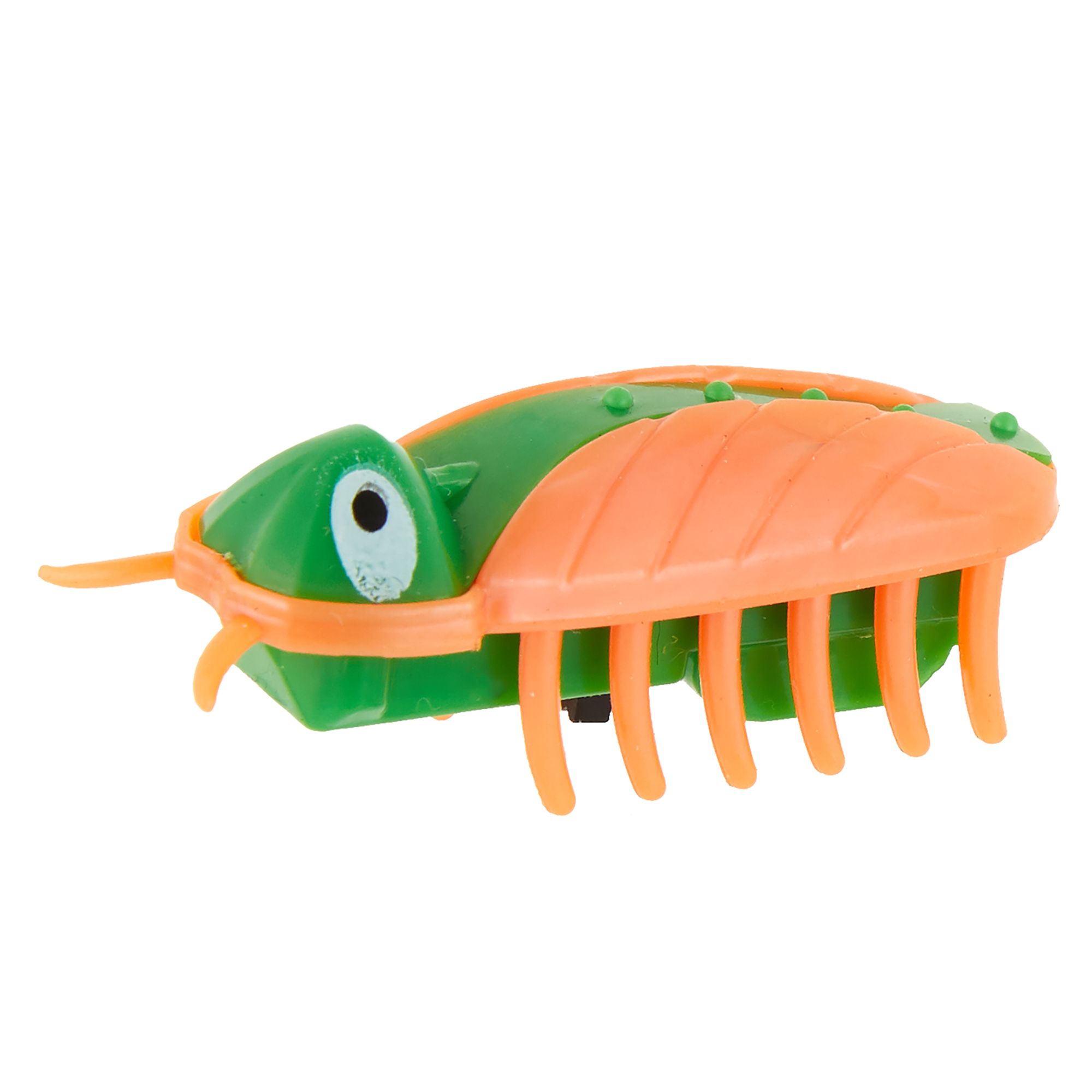 crawling bug toy