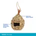 All Living Things® Hand Woven Canary Bird Nest image thumbnail 3