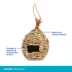 All Living Things® Hand Woven Canary Bird Nest image thumbnail 3