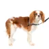 PetSafe® Easy Walk Deluxe Dog Harness - No Pull Dog Harness image thumbnail 1