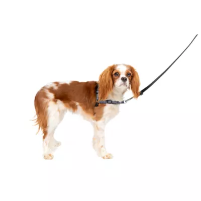 Product PetSafe® Easy Walk Deluxe Dog Harness - No Pull Dog Harness