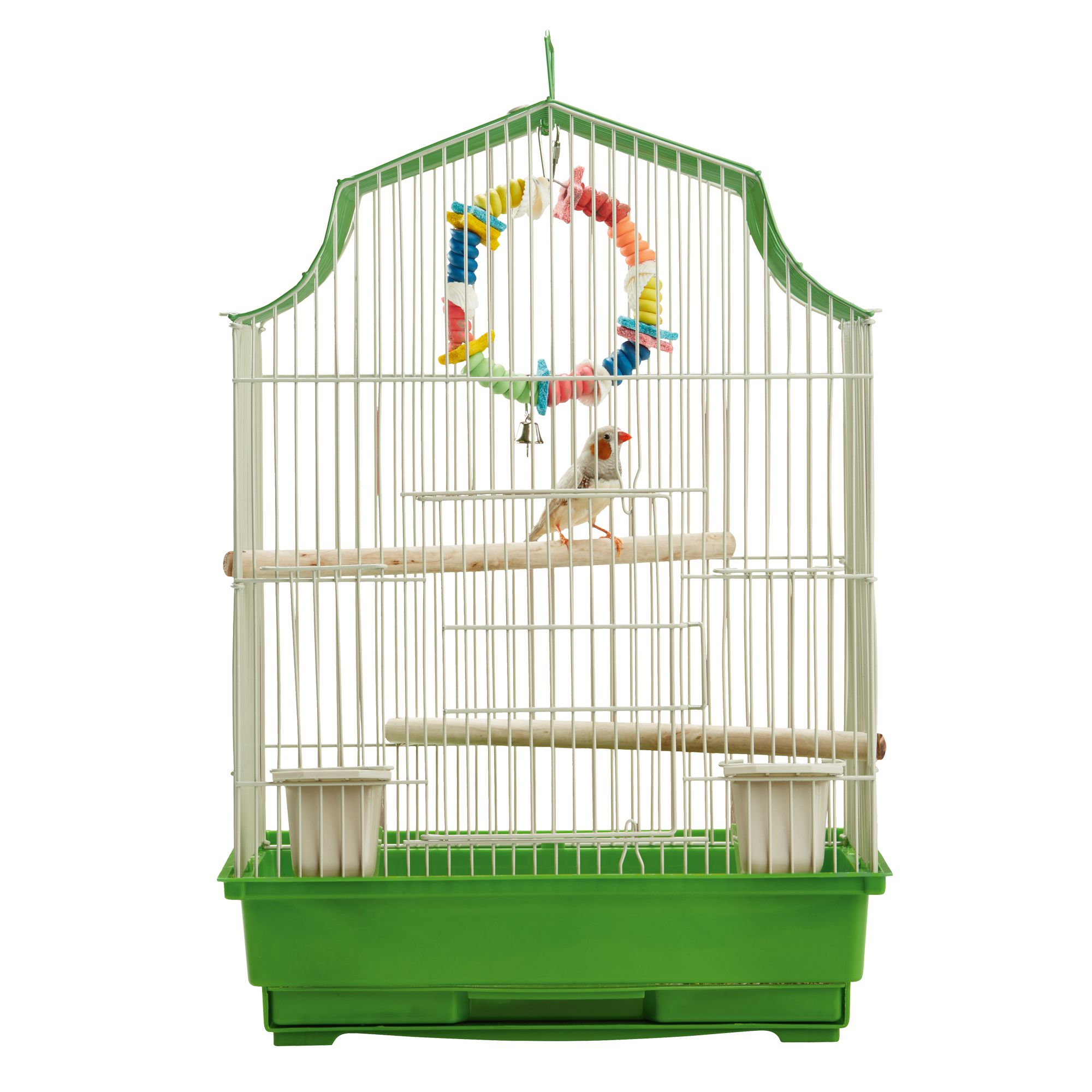 Bird Supplies for Parrots, Parakeets & More PetSmart