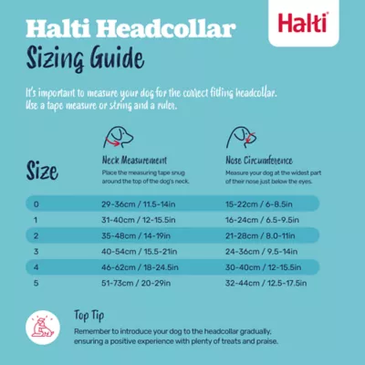 Halti® Training Dog Head Collar - Image 6